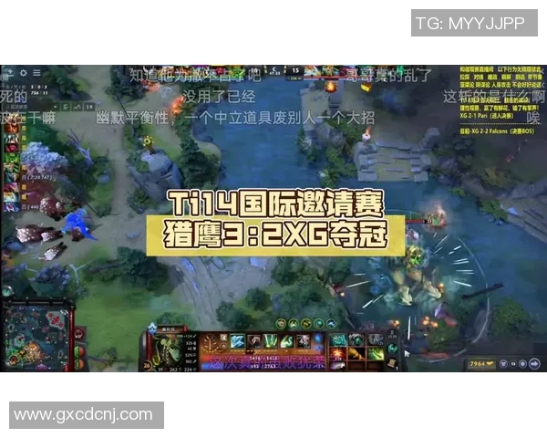 2014年dota2比赛视频-重温历史精彩瞬间，回顾2014年Dota 2比赛视频-2014年dota2比赛视频