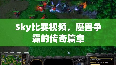 Sky比赛视频，魔兽争霸的传奇篇章